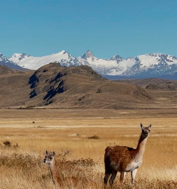 Parque Nacional Patagonia