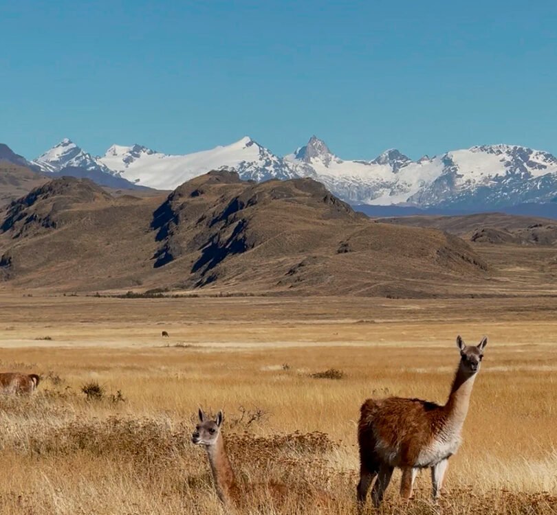 Parque Nacional Patagonia